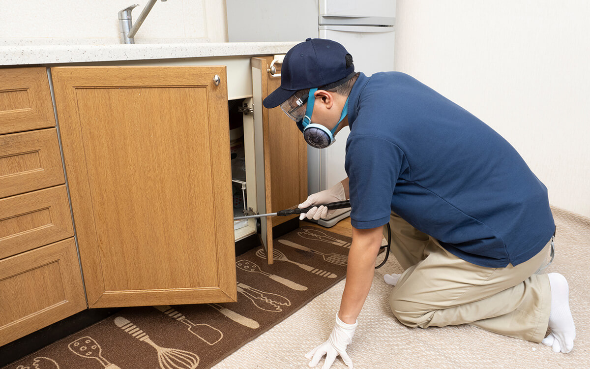 なんでもや 楽天市場】丸五 屋根専用シリーズ 屋根やくん＃03 ブラック